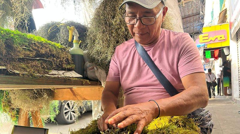 venta articulos navideños